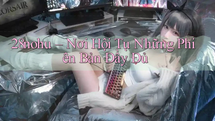 28nohu – Nơi Hội Tụ Những Phiên Bản Đầy Đủ