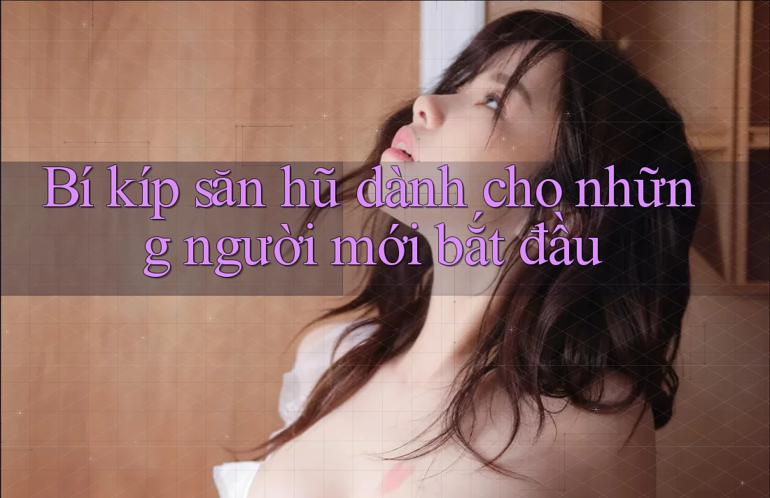 Bí kíp săn hũ dành cho những người mới bắt đầu