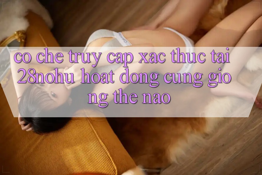 Cơ Chế “Truy Cập Xác Thực” Tại 28nohu Hoạt Động Cũng giống Thế Nào?
