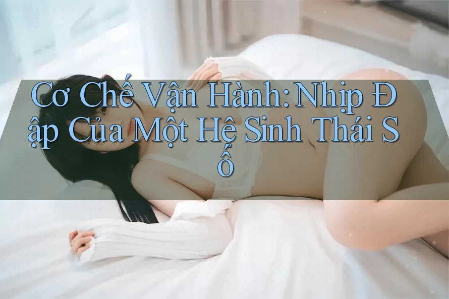 Cơ Chế Vận Hành: Nhịp Đập Của Một Hệ Sinh Thái Số