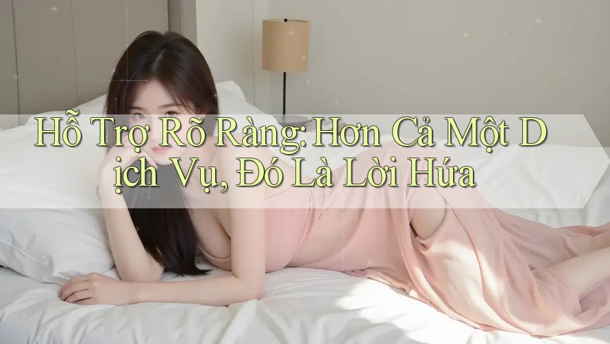 Hỗ Trợ Rõ Ràng: Hơn Cả Một Dịch Vụ, Đó Là Lời Hứa