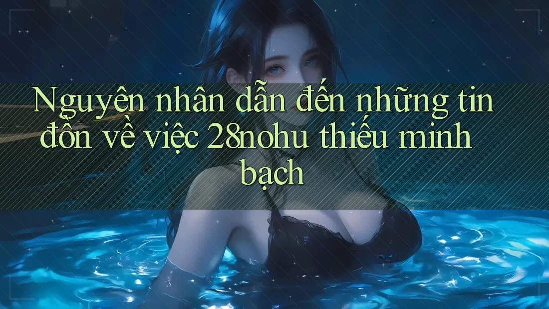 Nguyên nhân dẫn đến những tin đồn về việc 28nohu thiếu minh bạch