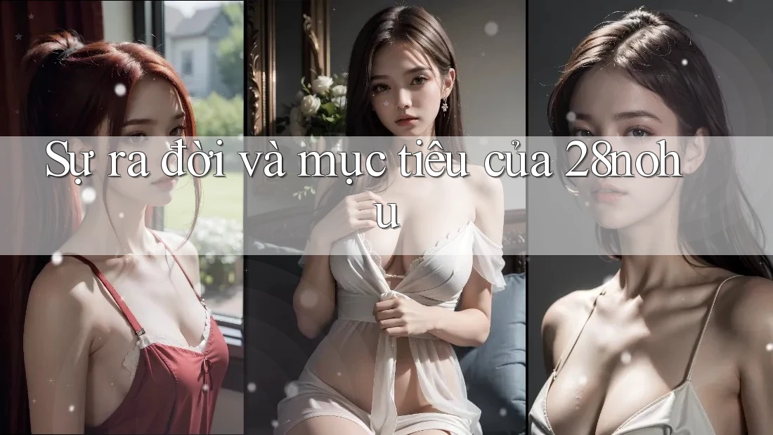 Sự ra đời và mục tiêu của 28nohu