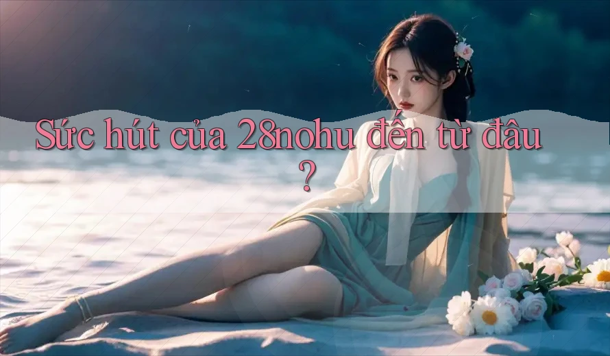 Sức hút của 28nohu đến từ đâu?