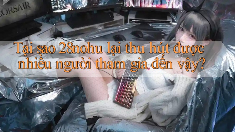 Tại sao 28nohu lại thu hút được nhiều người tham gia đến vậy?